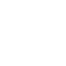 Sorgfalt, Ladungssicherung & zuverlässige Durchführung